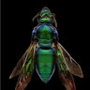 Meet your Posher, Nicola